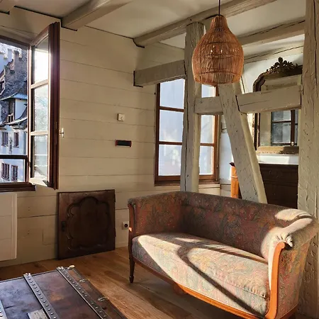 Apartamento La Petite Alsacienne Estrasburgo