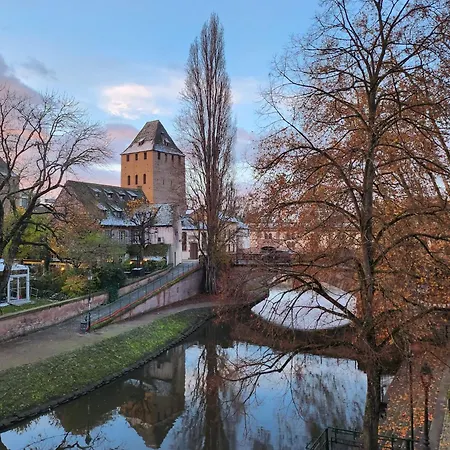 Appartement La Petite Alsacienne